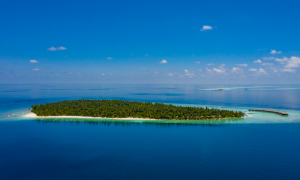 對八字喜用神為水的人的建議