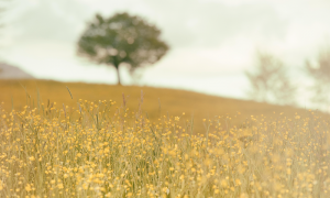 從八字中來看自己愛情的保質(zhì)期