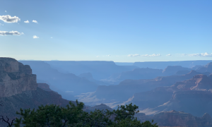 命中多貴人的八字特征是什么？