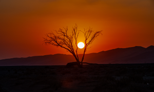 什么八字的人容易有桃花運(yùn)？