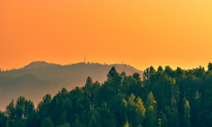 如何從八字看出一個(gè)人的財(cái)富以及和六親的關(guān)系？