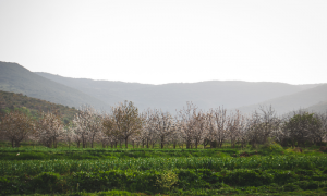 八字合婚有什么好處？