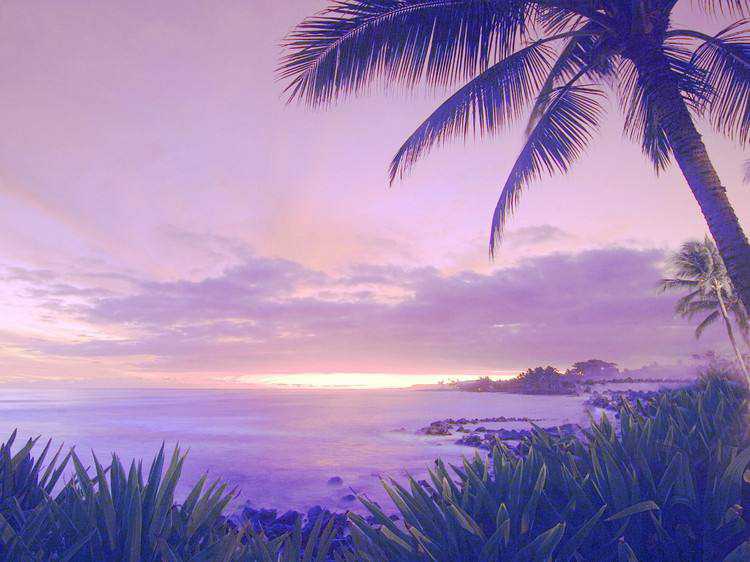 八字看學(xué)業(yè)讀書運(yùn) 什么八字讀書厲害。