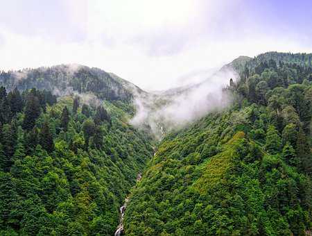 男命帶天羅是什么意思 什么是命帶天羅 