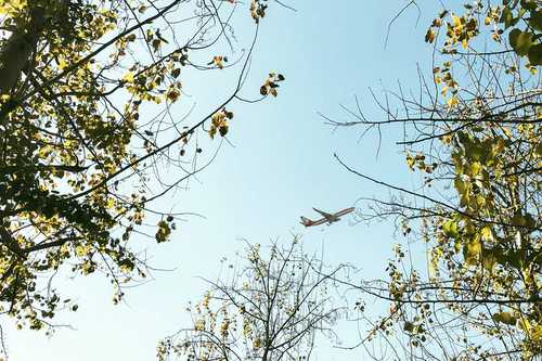 農(nóng)歷出生可以發(fā)財(cái)富貴的日子是這天出生的嗎？