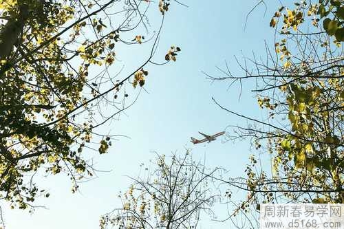 食神一般代表什么 八字食神有什么影響