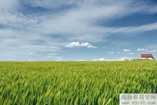 巳時出生克父母是不是真的 克父母要怎么化解