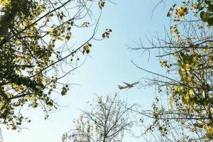 農(nóng)歷出生可以發(fā)財(cái)富貴的日子是這天出生的嗎？