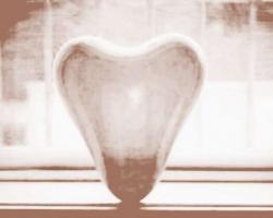 哪些人容易招到的情傷