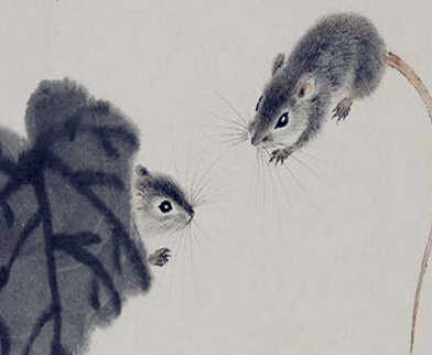 屬鼠的男人性格特點(diǎn)及脾氣