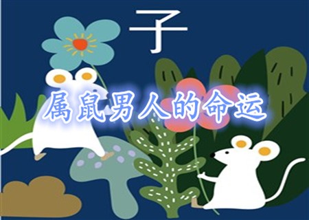屬鼠的男人命好不好