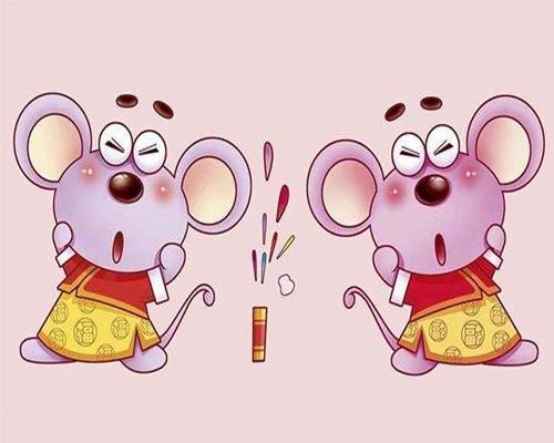 生肖鼠本命年 生肖鼠本命年