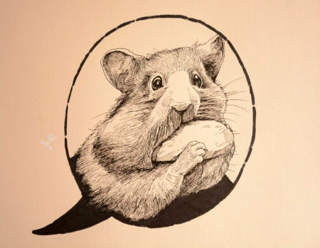 屬鼠女人婚姻與命運(yùn)