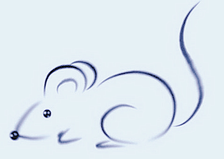 屬鼠人起名字的宜忌