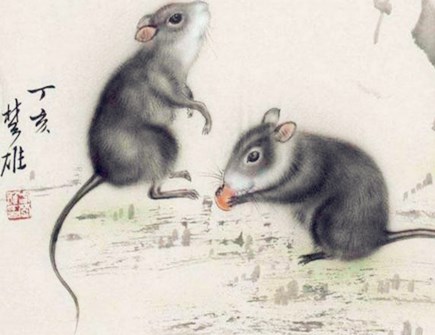 屬鼠人與什么生肖合作好 屬鼠人與什么生肖合作好