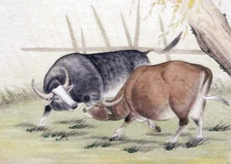 屬牛適合做什么生意