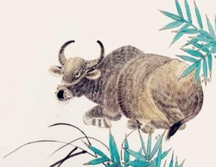 牛和虎的屬相合不合