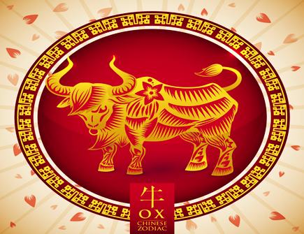 屬牛的幸運色是什么