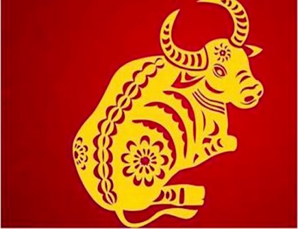 屬牛男人婚姻與命運(yùn)