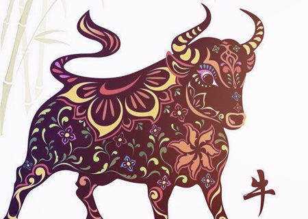 生肖牛適合養(yǎng)什么寵物