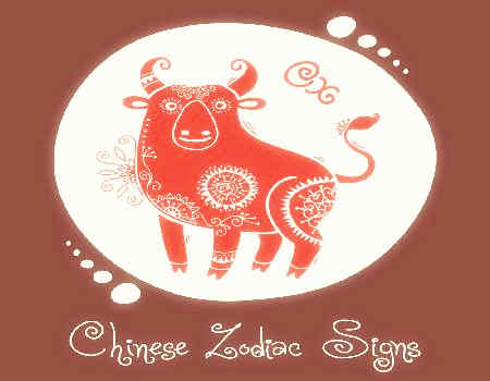 屬牛的女人事業(yè)運(yùn)好不好