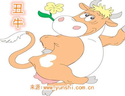 屬牛紋身紋什么旺財