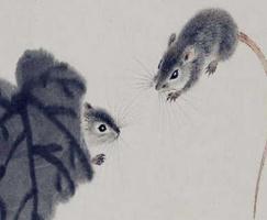 屬鼠男人的性格特點(diǎn)及脾氣-