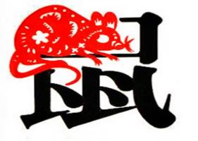 生肖屬鼠男最怕幾月出生 