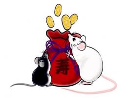 屬鼠戴什么飾品旺財(cái)