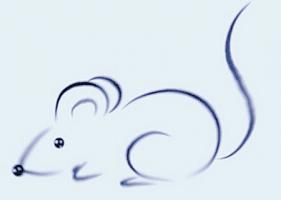 屬鼠人起名字的宜忌