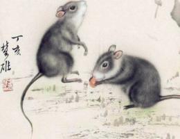 屬鼠人與什么生肖合作好