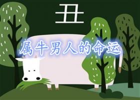 卜算子算命網(wǎng)