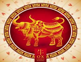 屬牛的幸運色是什么