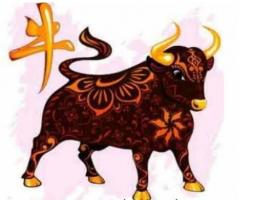 屬牛的人命好不好 - 屬牛的才能與事業(yè)