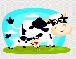 屬牛人一生的健康狀況