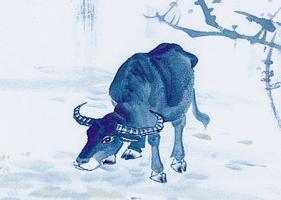 屬牛人起名字的宜忌