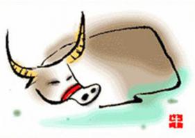 生肖牛本命年佩戴什么飾品