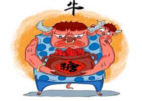 屬牛的男人對(duì)待感情如何