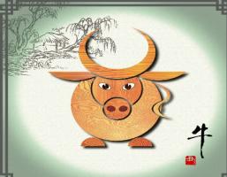 屬牛住幾層樓最好