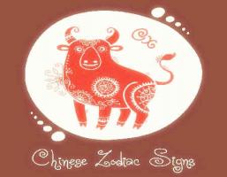 屬牛的女人事業(yè)運(yùn)好不好