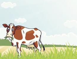 屬牛人開(kāi)店擺放什么招財(cái)