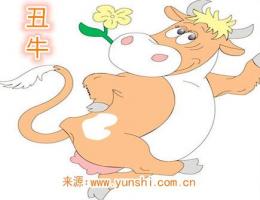 屬牛紋身紋什么旺財(cái)