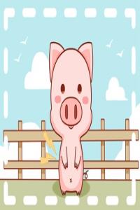 屬豬的配什么生肖 屬虎人 屬兔人