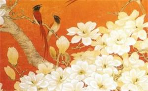 易經(jīng)電話號碼怎么選 易經(jīng)中最吉利的手機號