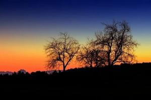 2023年店鋪開張最吉利日子，什么時(shí)候開張最好