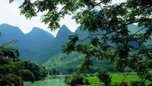 手相看壽命長短圖解！