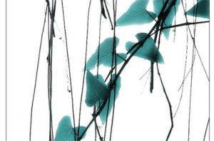 卜算子算命網(wǎng)