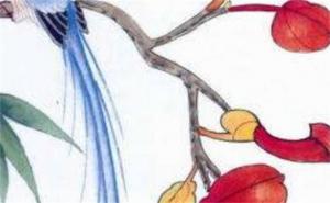 女人不能用的號碼尾數(shù) 女人不能用的號碼尾數(shù)