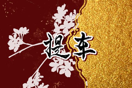 免費測提車吉日?2024年臘月生肖羊接新車什么日子最好 免費測提車吉日?2024年臘月生肖羊接新車什么日子最好