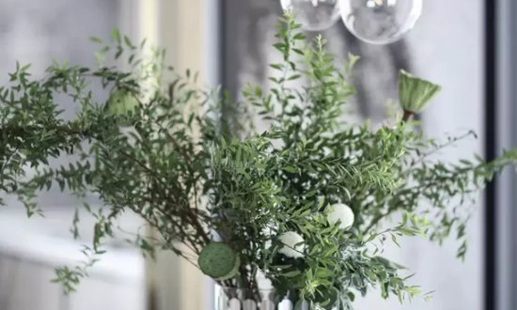 2029年農(nóng)歷正月初六可以搬家嘛 這天喬遷順利嗎